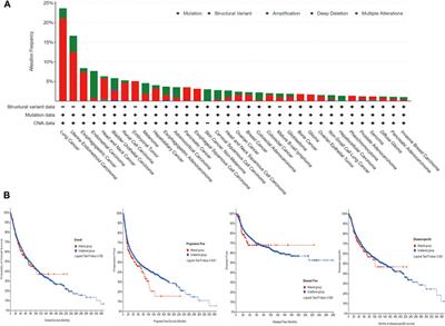 Pan-cancer analysis of the prognostic and immunological role of ANLN: An onco-immunological biomarker